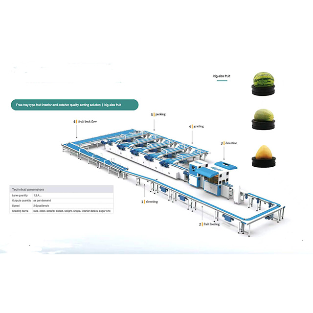 Mango free tray type fruit interior and exterior quality sorting solution