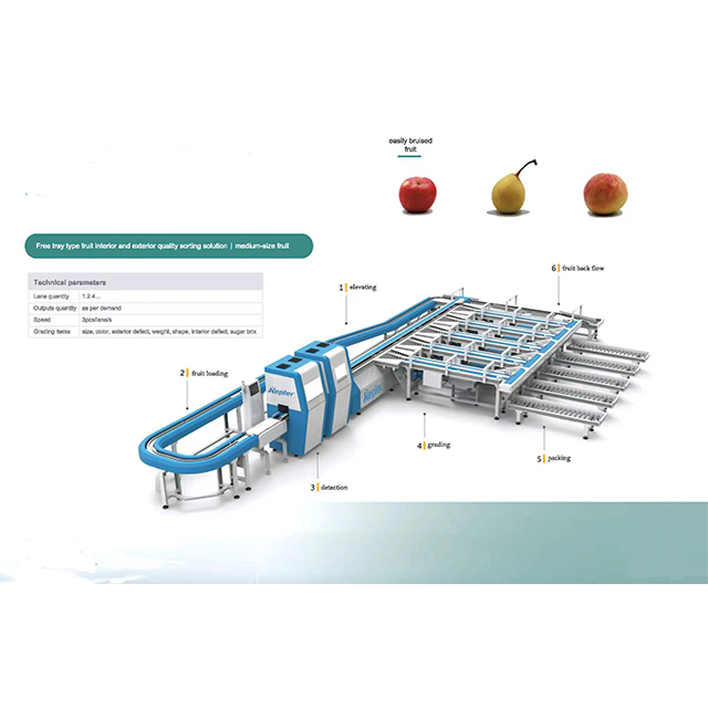 Kiwi fruit free tray type fruit interior and exterior quality sorting solution